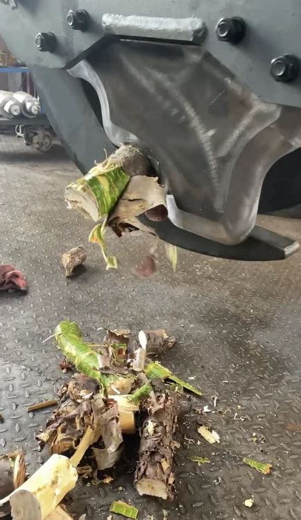 Image result for Tree Cutter Shear Types