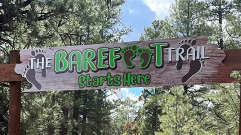 60,000 African penguins died: Study finds shocking truth behind the ...