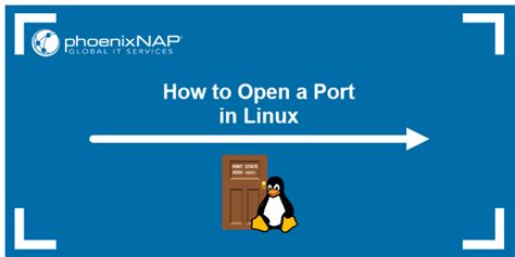 Image result for Linux Check Port