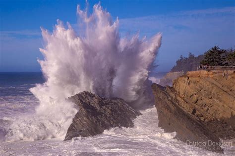 Image result for shore acres waves