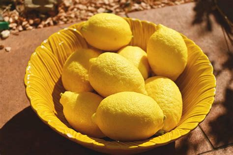 Lime vs Lemon: Difference and Comparison
