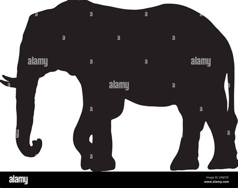 Elephants silhouettes Stock Vector Images - Alamy