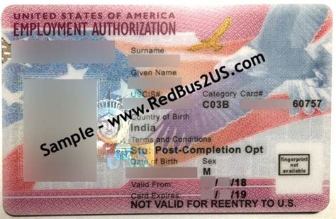 Sample OPT EAD Card - F1 Visa Student - Information to look out ...