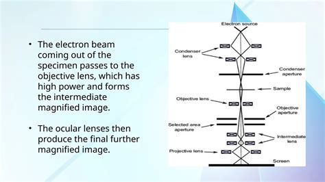 Image result for Electron Microscope Types