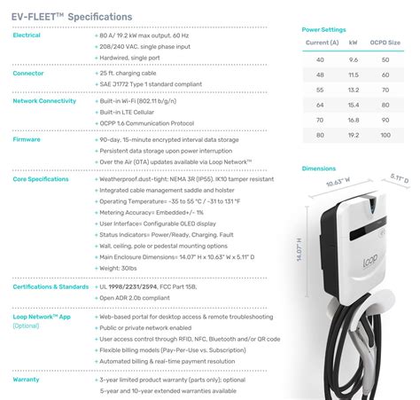 Loop Global 的图像结果
