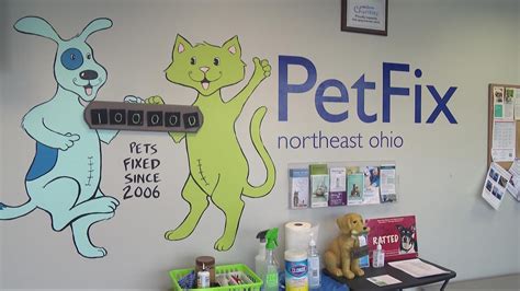 PetFix in Euclid marks 100,000 spay and neuter surgeries | wkyc.com