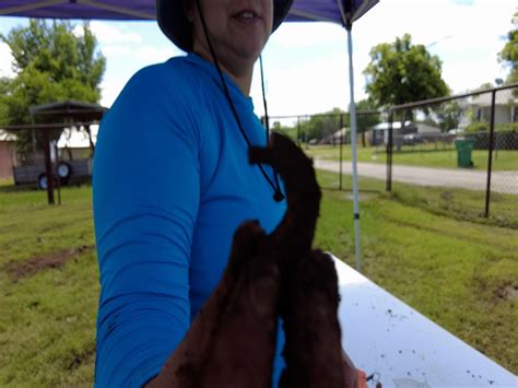 Archer County Jail dig sparks interest and donations for museum