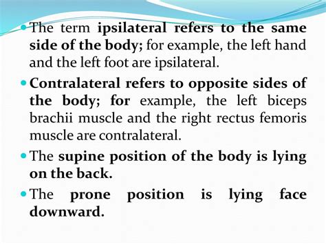 Image result for Contralateral Body Parts Example