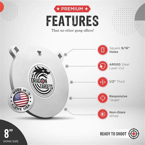 DragonTargets Dragon AR500 Steel Targets - 3/8 or 1/2 Thick, 12 India ...