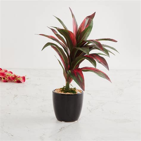 Buy Fiesta Multicolour Dracaena Artificial Potted Plant from Home ...