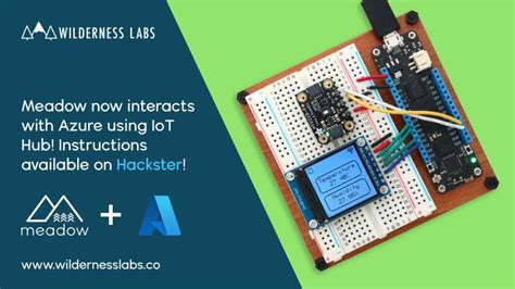 Image result for Isaac Levin Python Java .Net