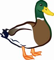 Image result for Cartoon Spring Bunny and Ducks