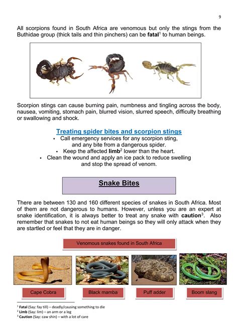 Grd 6-life-skills-t4-2016-approved | PDF