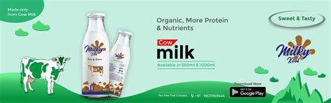 100% Pure & Fresh Cow Milk in Ranchi Jharkhand – Milky Kool