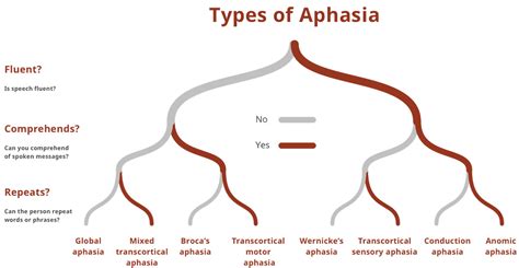 Image result for Aphasia Type Tree