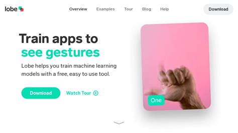 Tutorial Lobe 的图像结果