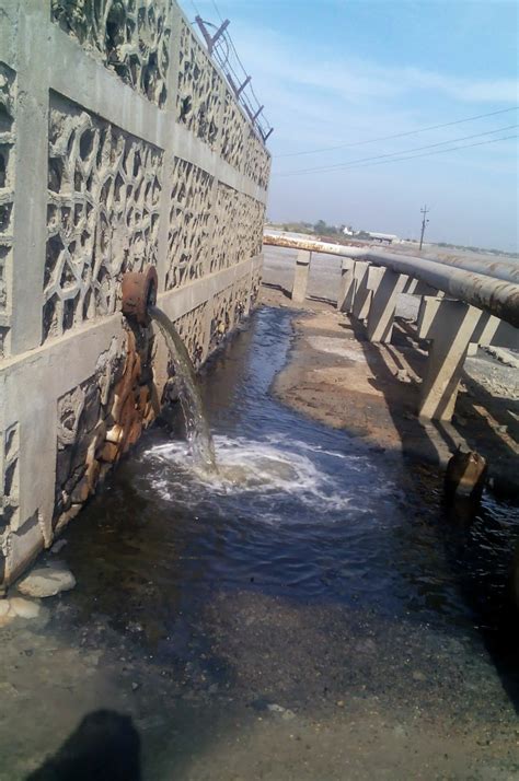 The Wire: The Wire News India, Latest News,News from India, Politics ...