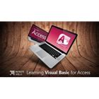 Use Access in Visual Basic 的图像结果