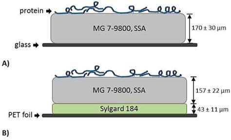 A Self-Adhesive Elastomeric Wound Scaffold for Sensitive Adhesion to Tissue