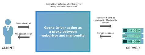 Selenium FirefoxDriver Python 的图像结果