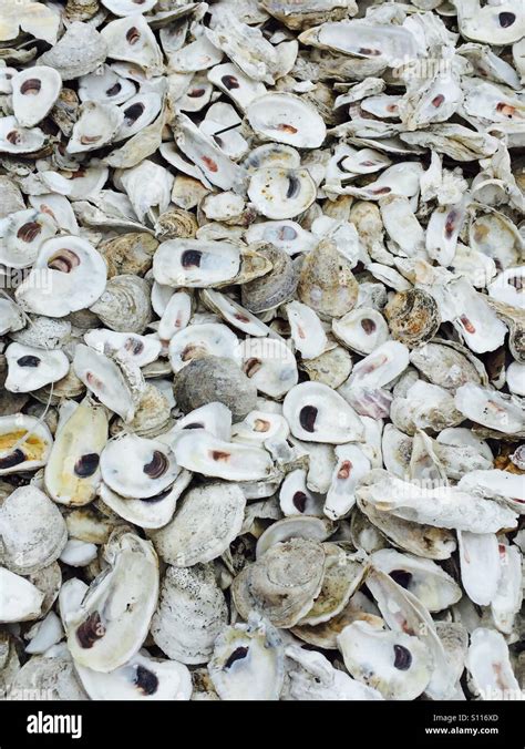 Image result for Shell-Shocked Effect