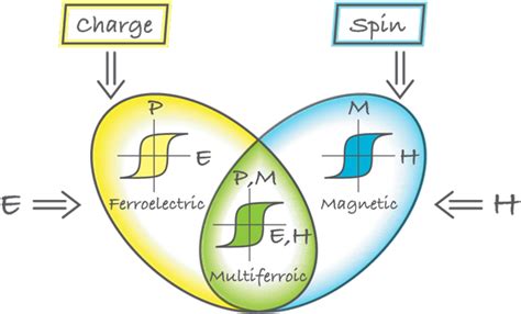 Multiferroics 的图像结果