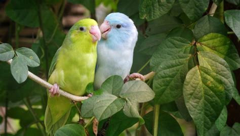 Image result for Book for Computer Programming