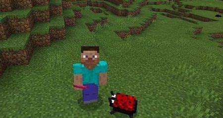 Minecraft Insect Mod 的图像结果