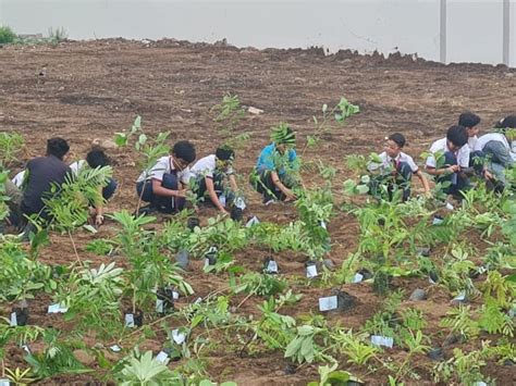 Online application for 5 lakh saplings of trees in People's Mun ...