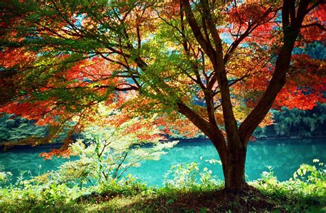 Fall Nature Desktop Backgrounds 的图像结果