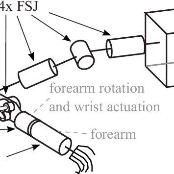 Image result for DLR Hand Arm System
