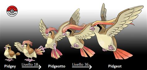 Image result for Pidgeotto Evolution Levels