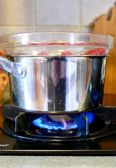 How To Make A Diy Double Boiler at Joseph Dearth blog