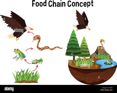 Art Food Chain Collage