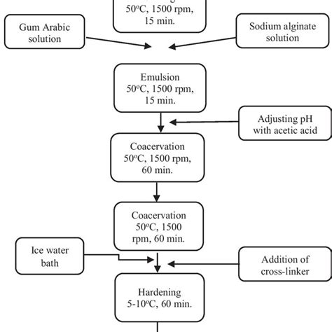 Image result for Microencapsulation Process