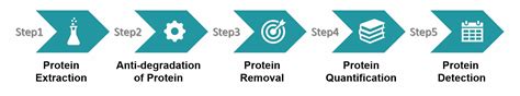 Image result for Protein Extraction Process
