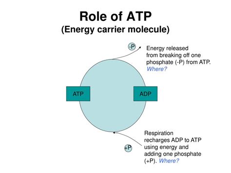 Energy Molecule 的图像结果
