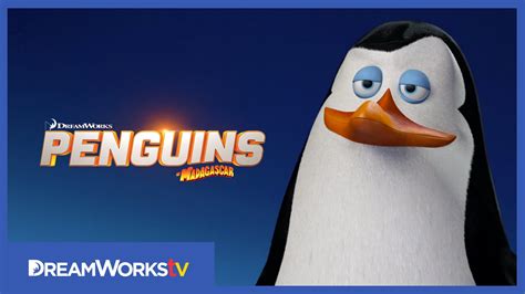 Meet Kowalski | PENGUINS OF MADAGASCAR - YouTube