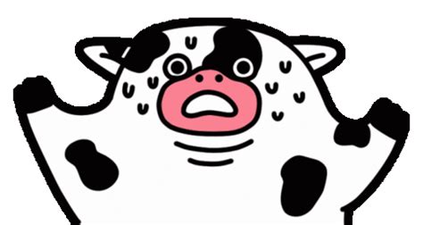 Image result for Exploding Cow GIF