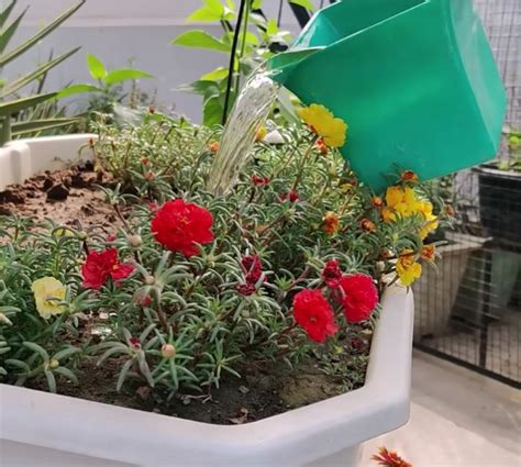 Image result for Compost Making Tutorial