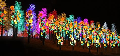 I-City Shahalam Night tour packages, Malaysia