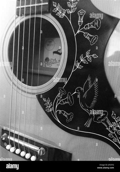 Stringed Instrument 的图像结果