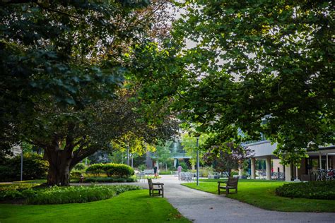 Is UMichigan Test-Optional? | UMich Admissions Policy | Ivy Coach