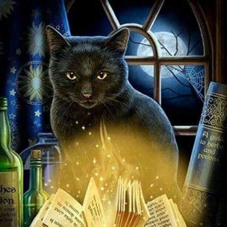 Self-Care for Witches: A Magical Collection of Activities and Tools for ...