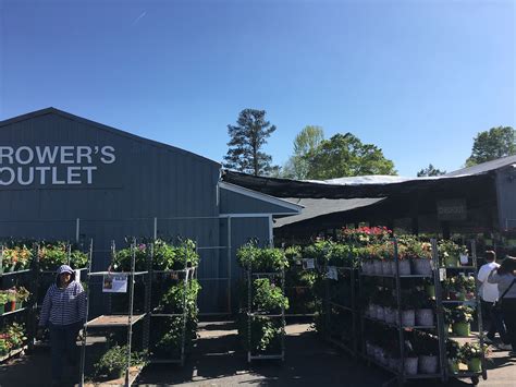 GROWER'S OUTLET LLC - Loganville GA - Hours, Directions, Reviews ...