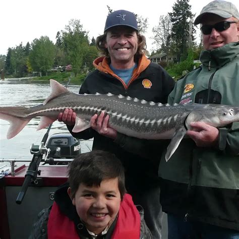 Exploring Estacada: Must-See Activities And Attractions | QuartzMountain