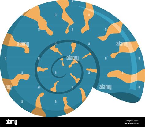 Image result for Normal Round Shell
