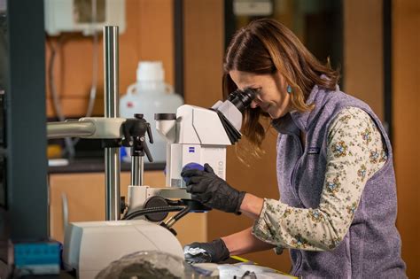 Image result for Master of Science Programs