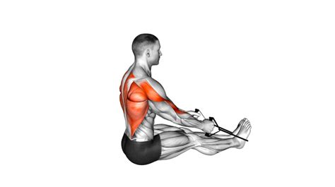Image result for Lateral Row Exercise