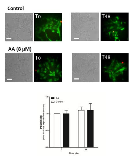 Arachidonic Acid Attenuates Cell Proliferation, Migration and Viability ...
